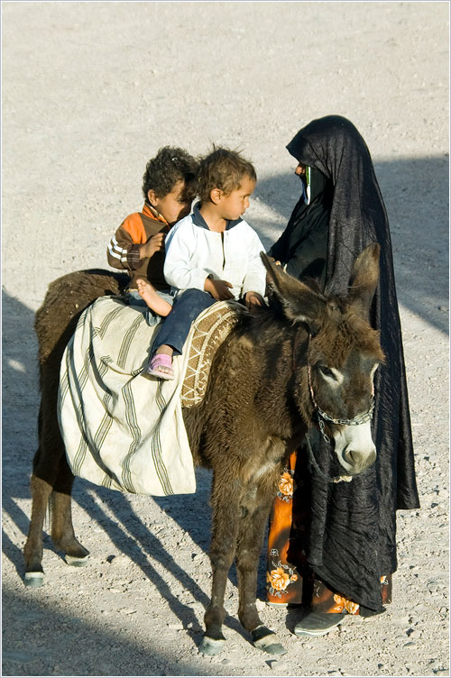 Египет. Дети на ослике