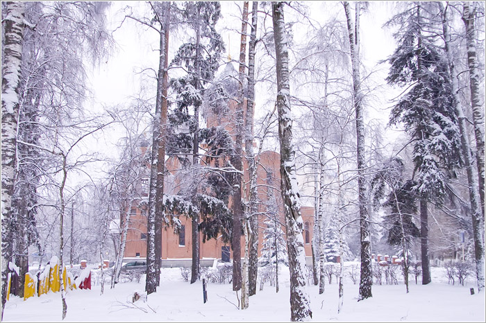 Зима. Власиха. Фото. Церковь Ильи Муромца Печорского